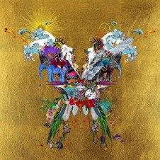 Coldplay's Butterfly Package by Kristjana S Williams